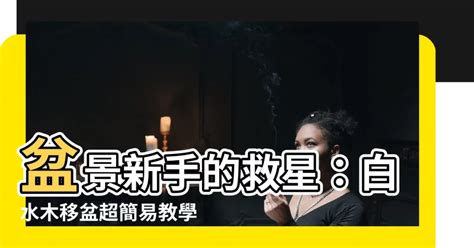 白水木移盆